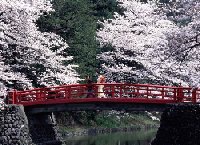 Click for Tokyo info