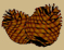 Forest icon