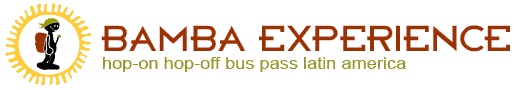 bamba_experience