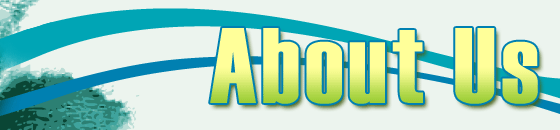 About Base Surf Lodge Newquay