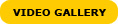 Video Gallery