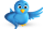 Follow us on Twitter
