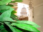 Blanca Apartment. Cheap accommodation in Center of Havana, Cuba. Rooms for rent in Havana. Lodging for Vacation Travel in Cuba. Bed and Breakfast in Havana, Cuba. Free online room bookings.