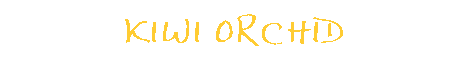 KIWI BANNER4