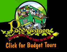 paddywagon.com