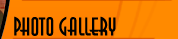 Photo Gallery