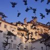 In the center of Coimbra