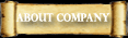 About Company