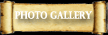 Photo Gallery