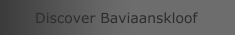 Discover Baviaanskloof 