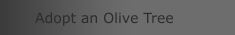 Adopt an Olive Tree