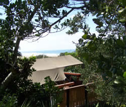 Safari Tent